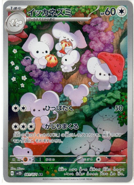 Maushold AR 081/071 – Clay Burst (JPN)